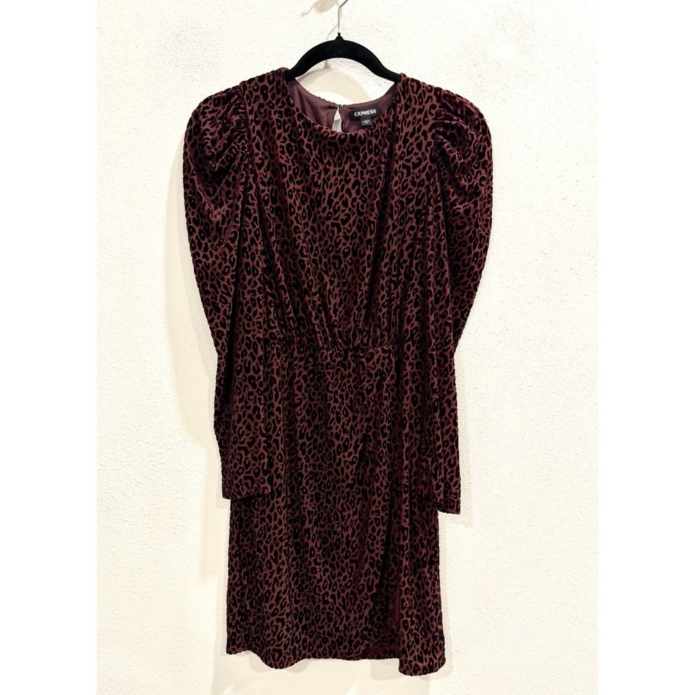 Express Velvet Burnout Leopard Animal Print Dress Women's S Chic Holiday Party